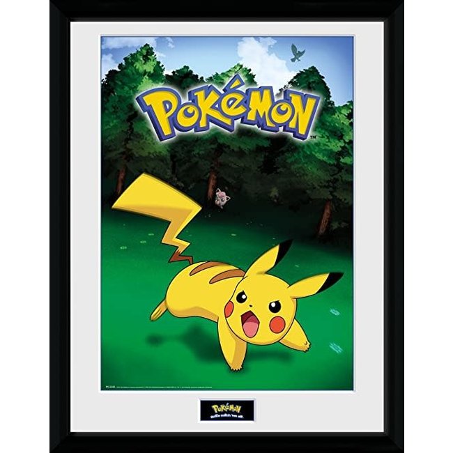 Pokémon Catch Plakat